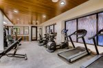 Fitness Center - The Lion Vail 